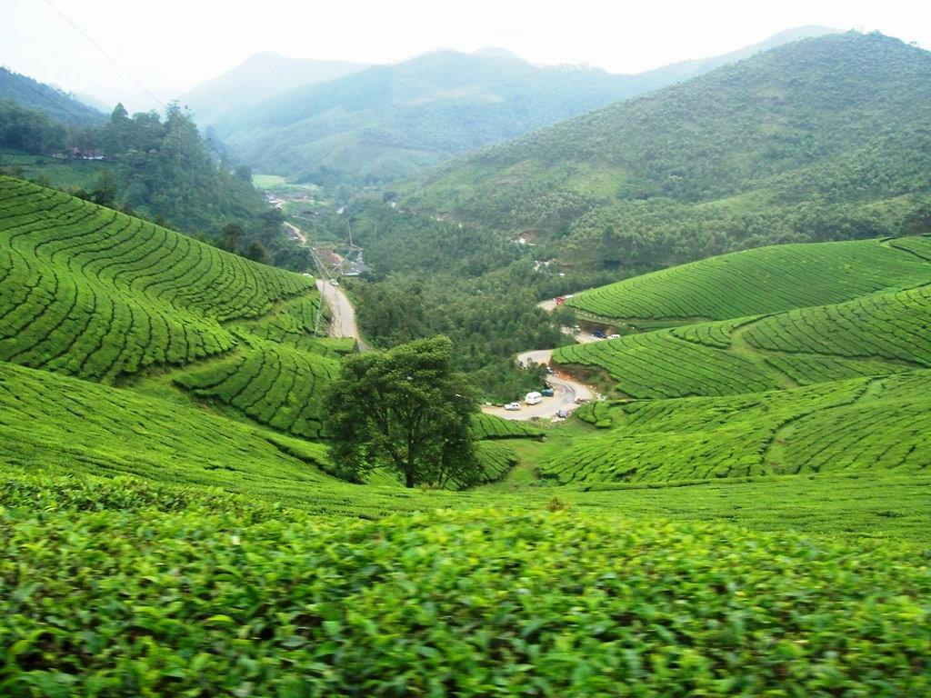 KERALA TOUR PACKAGE